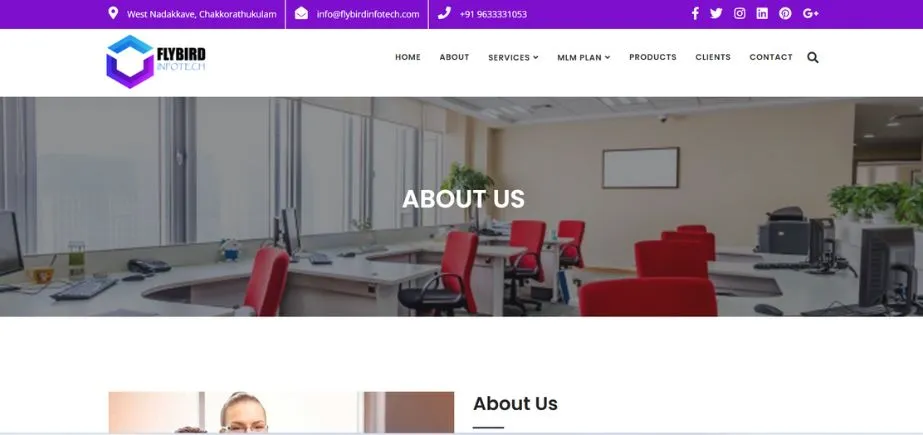 Flybird Infotech - IT Companies in Kozhikode