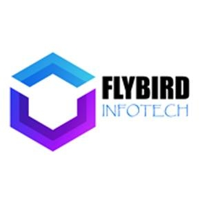 Flybird Infotech - IT Companies in Kozhikode 