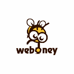 Weboney - Top IT Companies in Karur