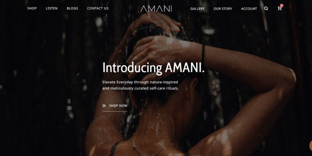 Franchise Businesses in Chennai - Amani