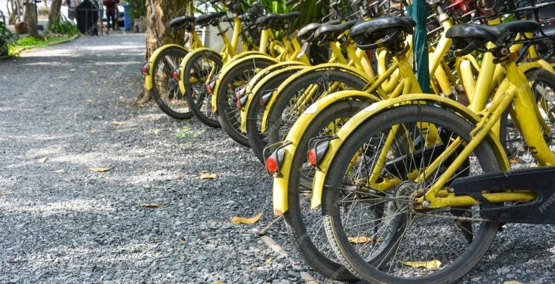 Transport business idea - Bicycle rental