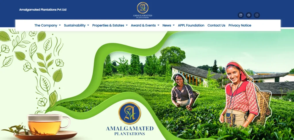 Tea Manufacturers in Assam - Amalgamated Plantations