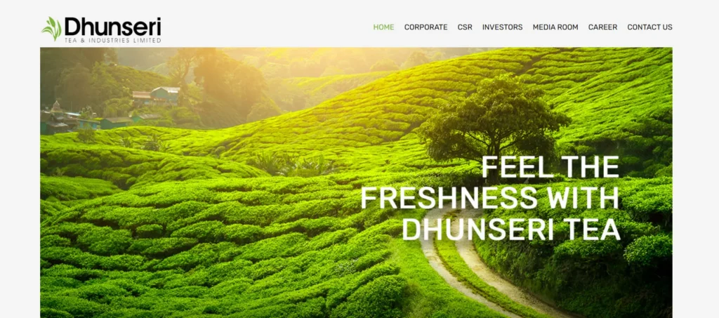 Tea Manufacturers in Assam - Dhunseri Tea & Industries Limited