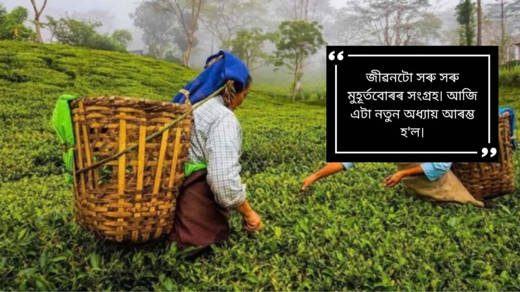 Assamese Captions for Instagram