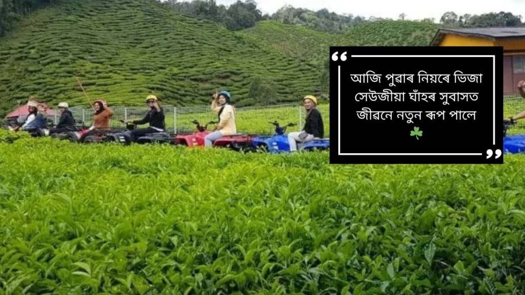 Assamese Captions for Instagram