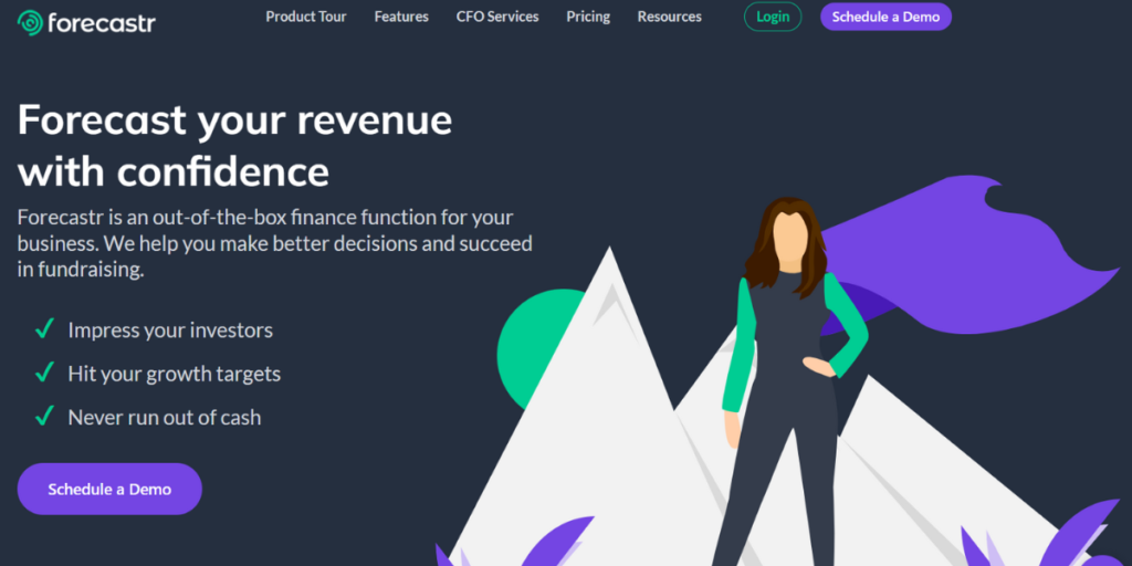 Financial Modeling Software