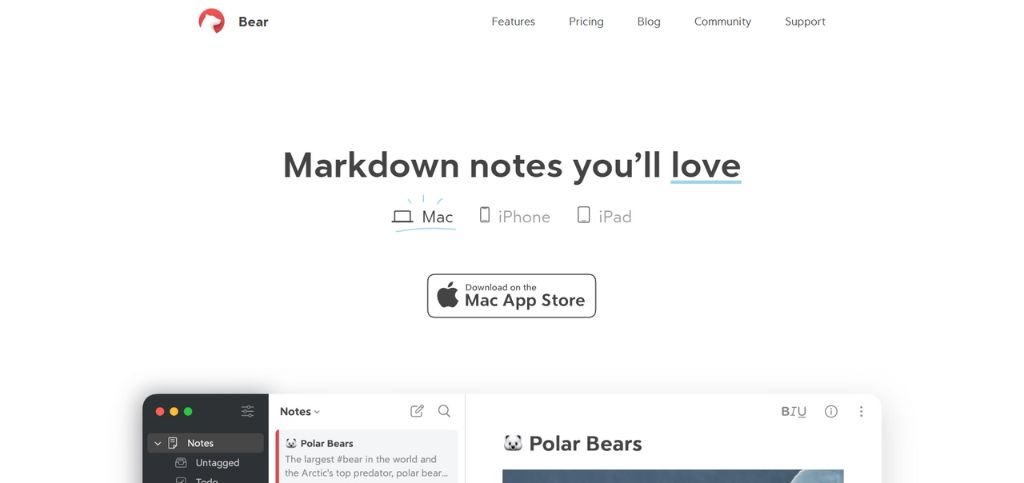 AI Note-taking Apps- bear