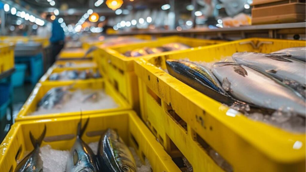 Fish Farming Business