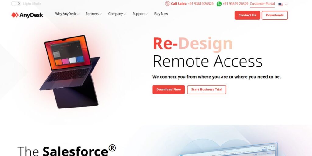 TeamViewer Alternatives