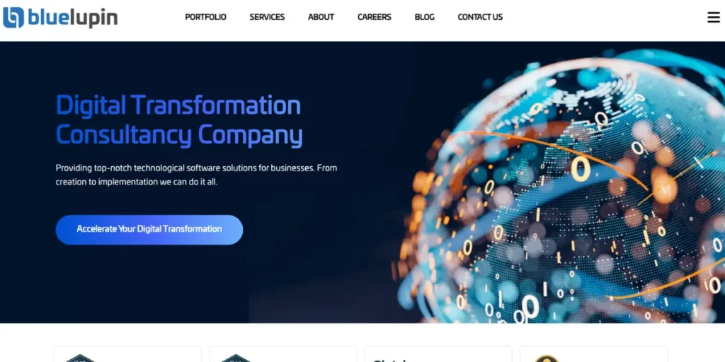 Software Companies in Noida