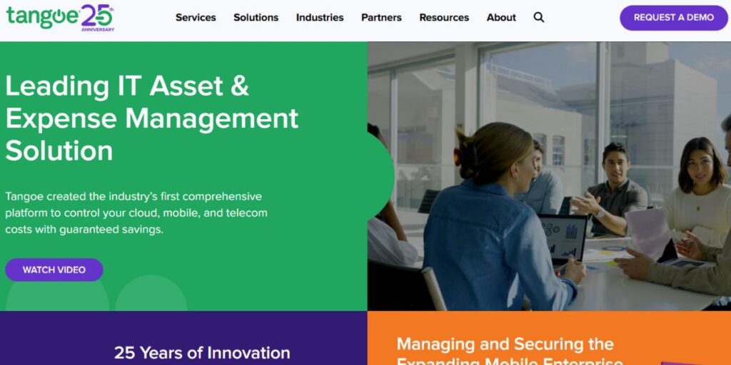 Telecom Expense Management Companies