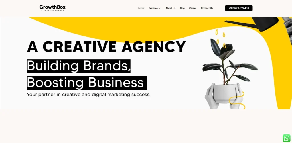 Influencer Marketing Agency in India - The Growth Box