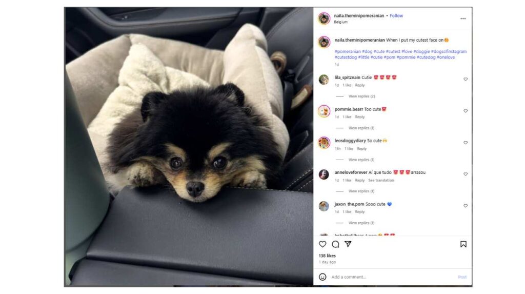 Viral Captions for Instagram