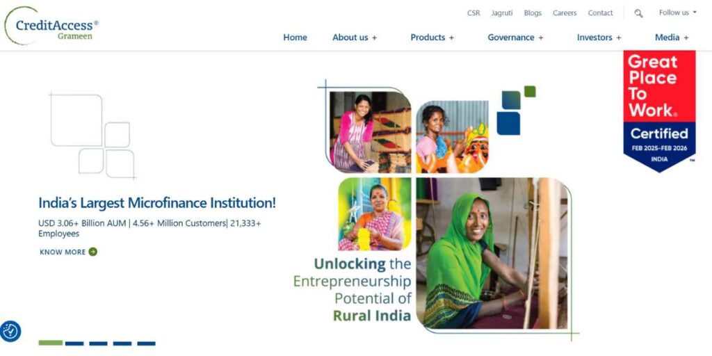 Microfinance Institutions In India