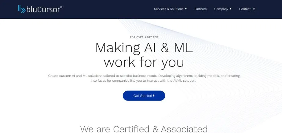 bluCursor Infotech Pvt Ltd - IT Companies in Indore