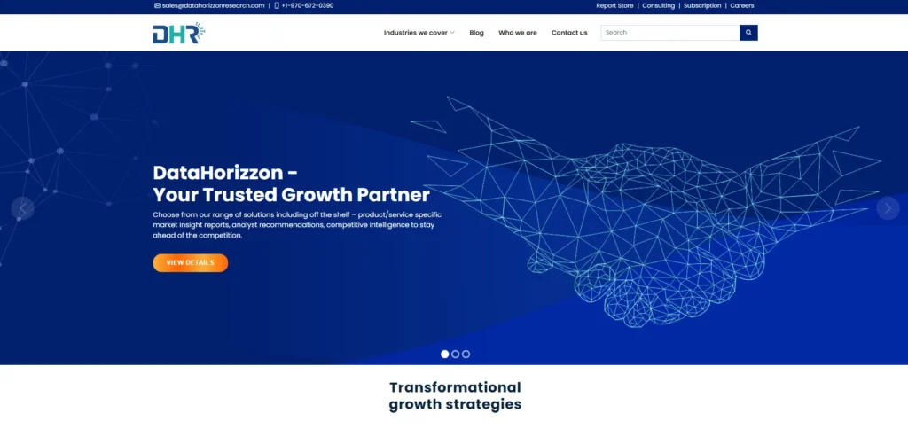 Market Research Company in Pune - DataHorizon Research