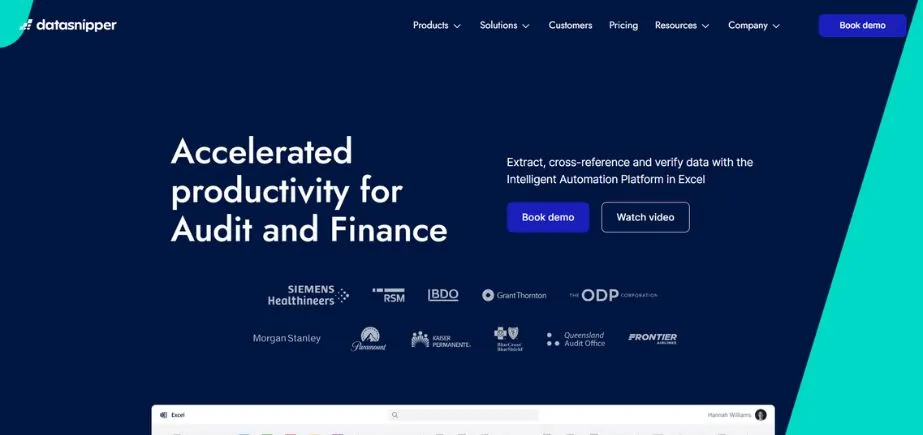 DataSnipper - AI Tools for Financial Research