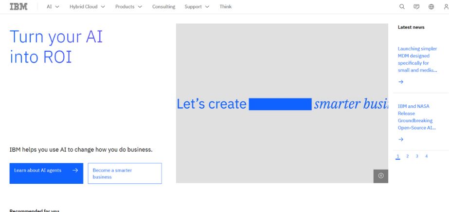 Software companies in India-ibm