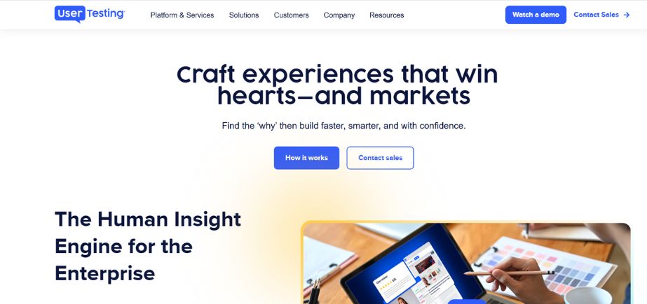 Make Money Online-usertesting