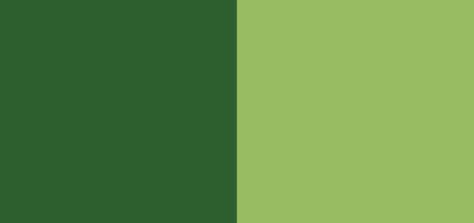 color combination-9