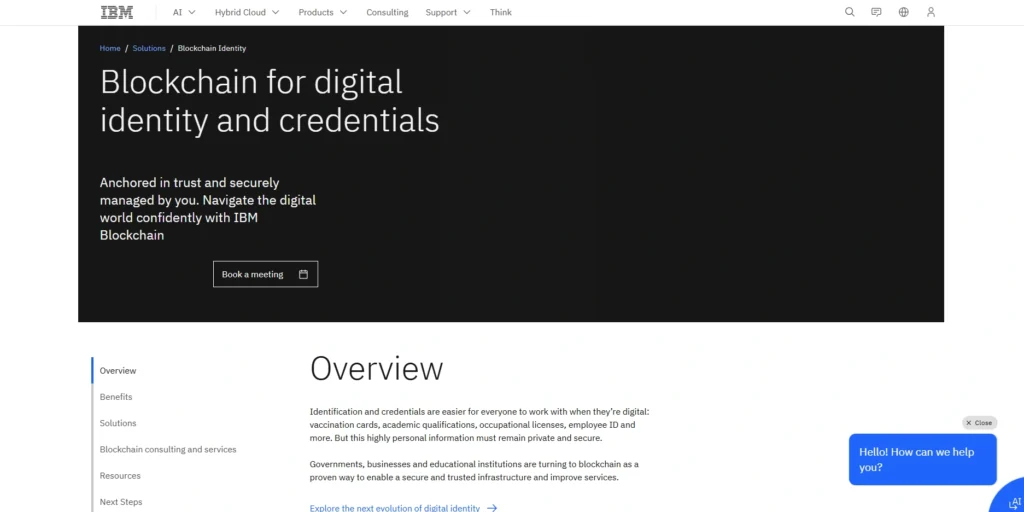 IBM (USA)-Blockchain Identity Management Companies