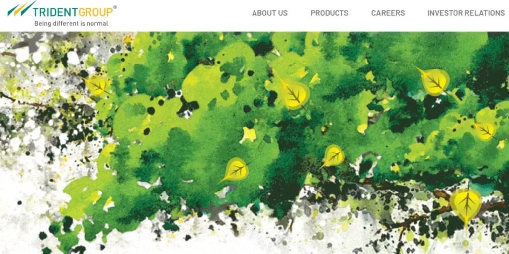 Textile Companies in India