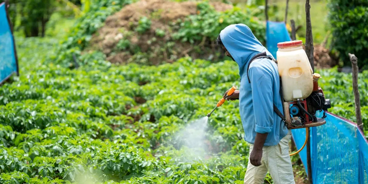 Agri-Input Production - Agro based Industries in India