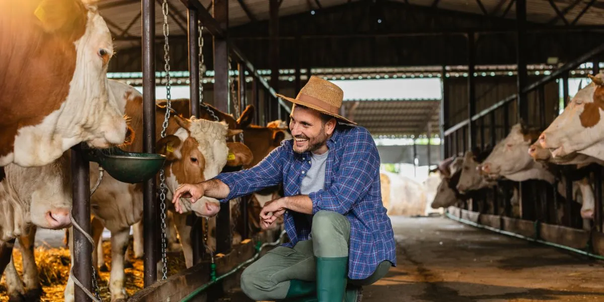 Dairy Cooperatives - Agro based Industries in India