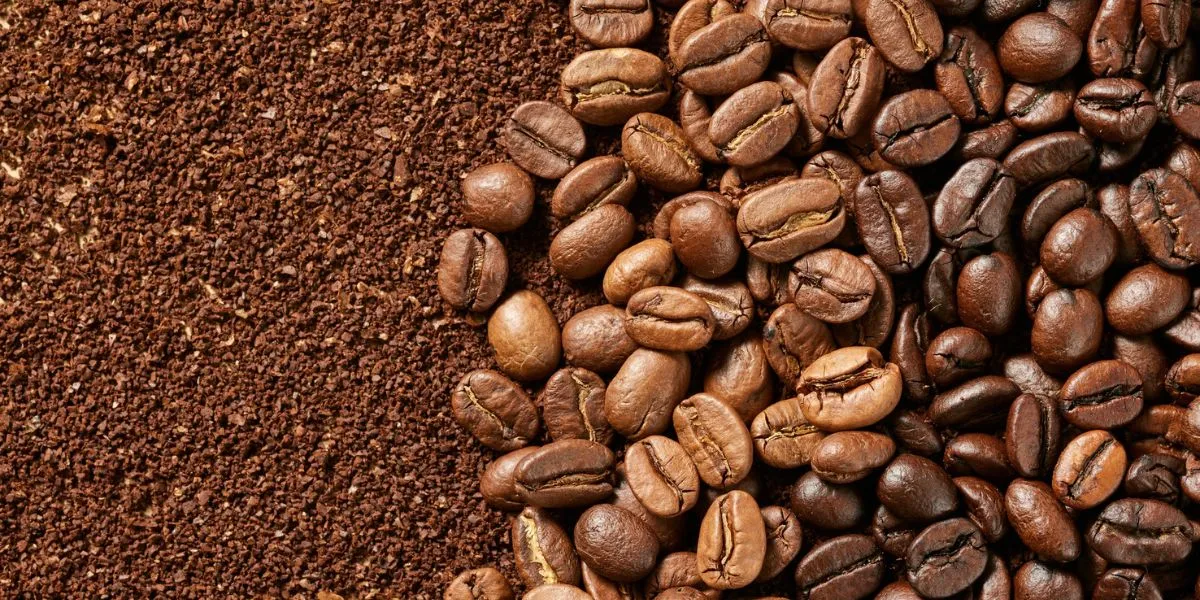 Tea Coffee - Agro based Industries in India