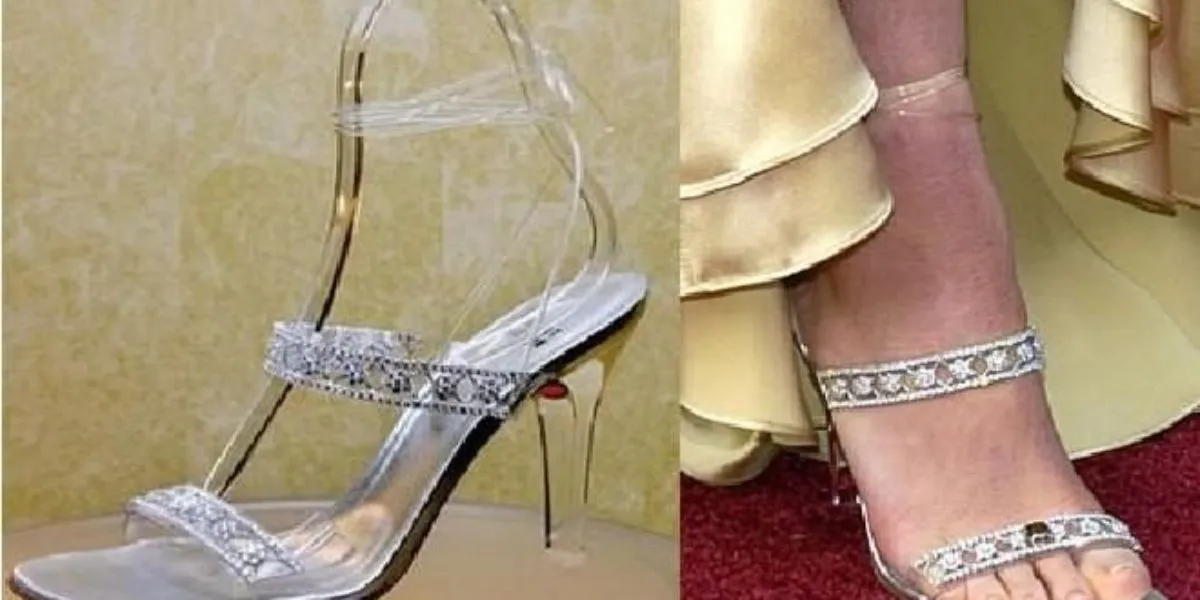 Most Expensive shoes in the World