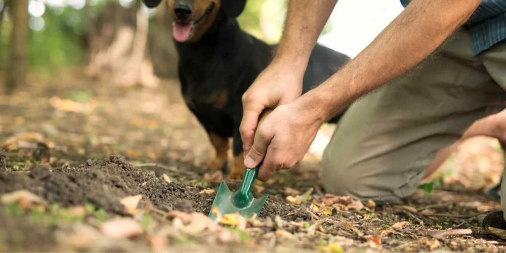 Dirty Ways to Make Money