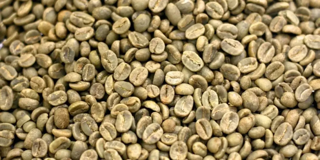 Guatemala Huehuetenango Coffee - Best Coffee in the World