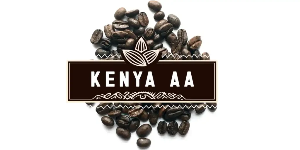 Kenya AA Coffee - Best Coffee in the World