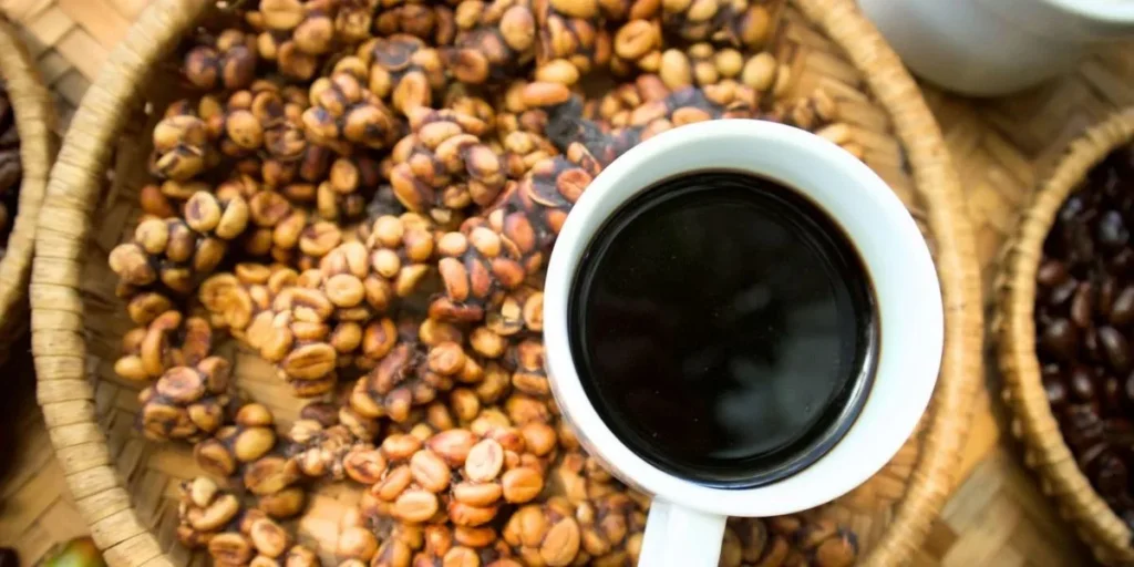 Kopi Luwak Coffee - Best Coffee in the World