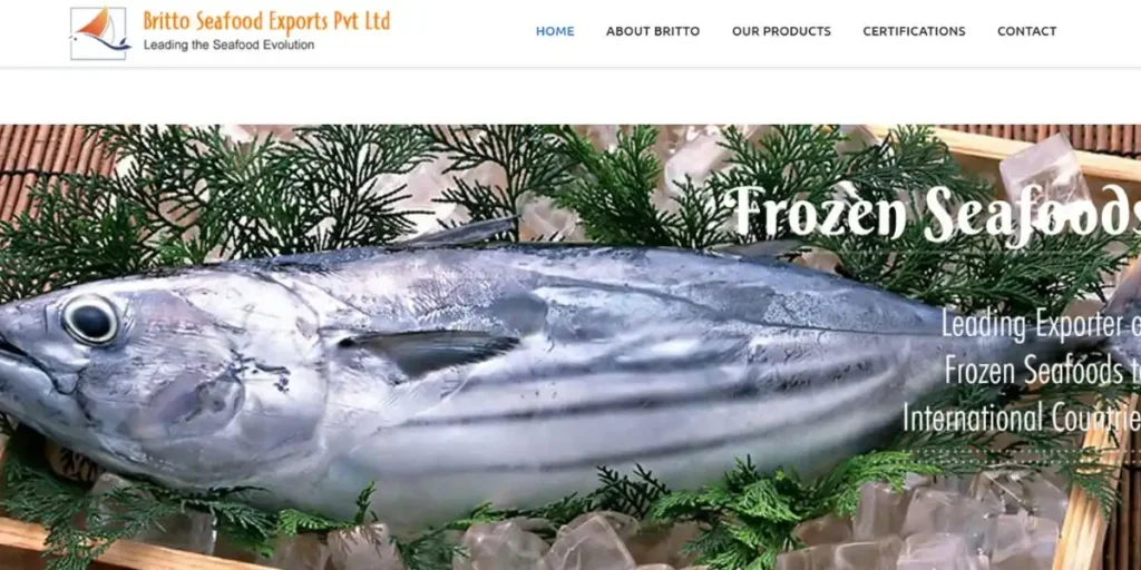 MS Britto Seafoods Exports Pvt Ltd - Export Companies in Chennai