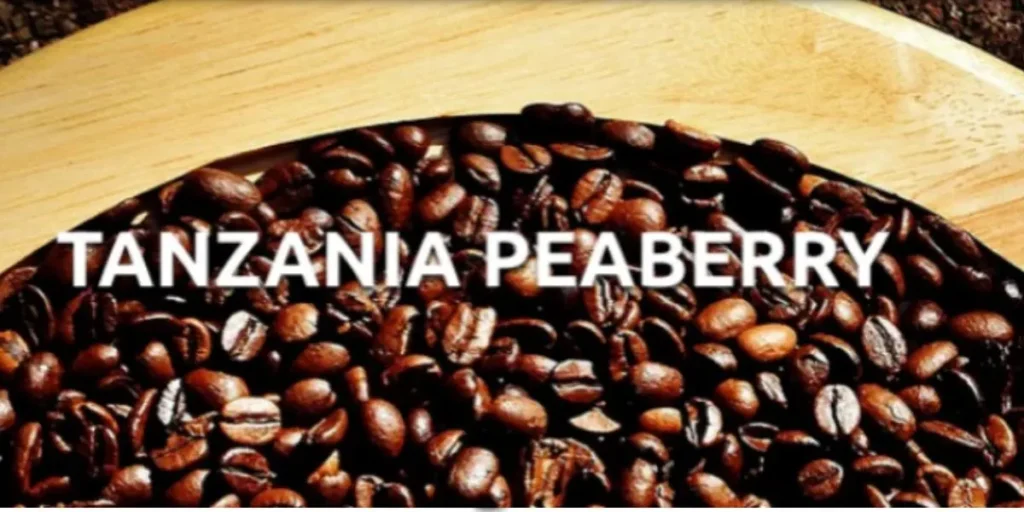 Tanzanian Peaberry Coffee - Best Coffee in the World